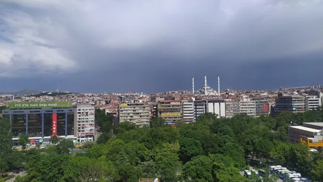 Toprak Mahsülleri Ofisi Genel Müdürlüğü