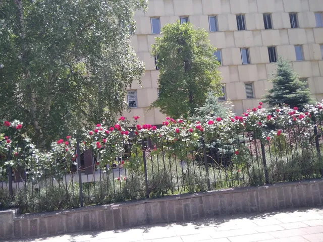 Hazine ve Maliye Bakanlığı Özelleştirme İdaresi Başkanlığı