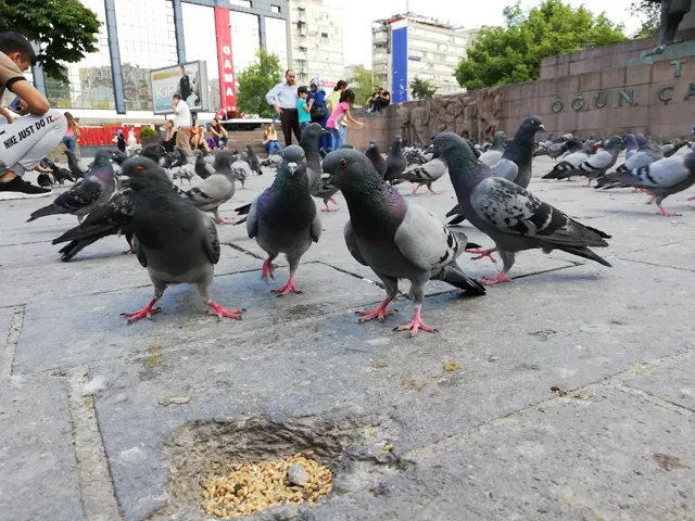 Güvenpark