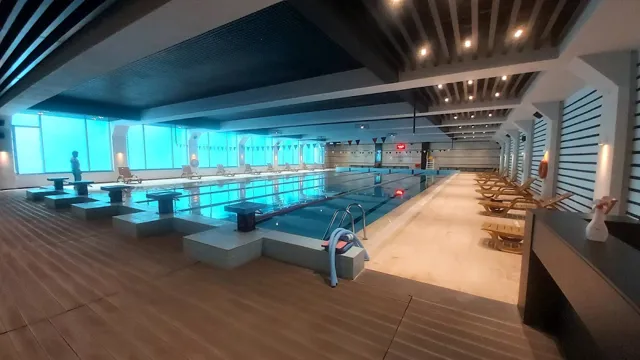 TED Üniversitesi