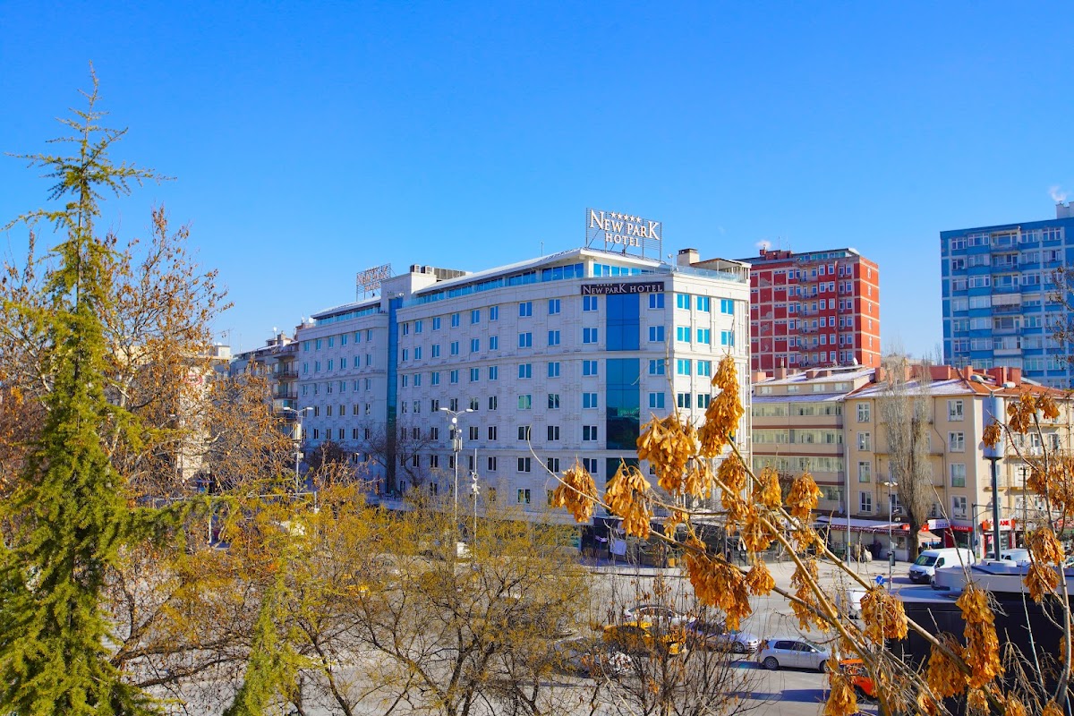 New Park Hotel